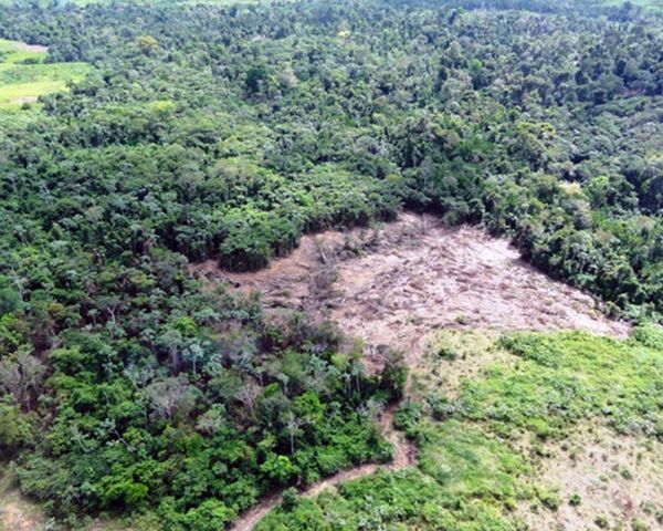 Ministro Sérgio Moro autoriza apoio da Força Nacional para combater desmatamento no Pará