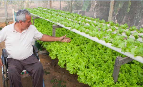 Gente do campo: produtor cadeirante investe no plantio sem uso do solo e vira referência em Goiás