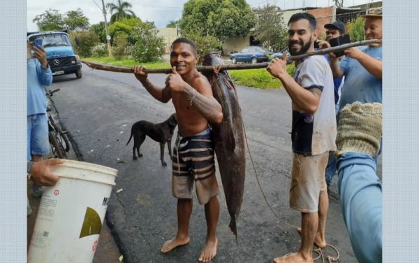 &#039;Não foi pesca, foi caça&#039;, diz jovem que capturou peixe de 36 kg em represa de Taquaritinga, SP