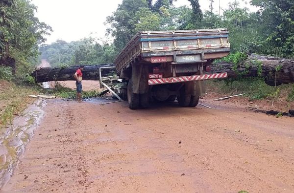 &#039;Feliz por estar vivo&#039;, diz único sobrevivente de queda de árvore gigante sobre caminhão que deixou