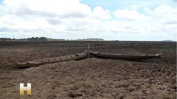 Maior seca dos últimos 10 anos atinge região da baixada maranhense e causa a morte de milhares de pe