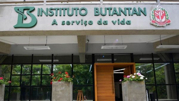 Butantan entrega 1,1milhão de doses da CoronaVac ao Ministério da Saúde e paralisa produção da vacin