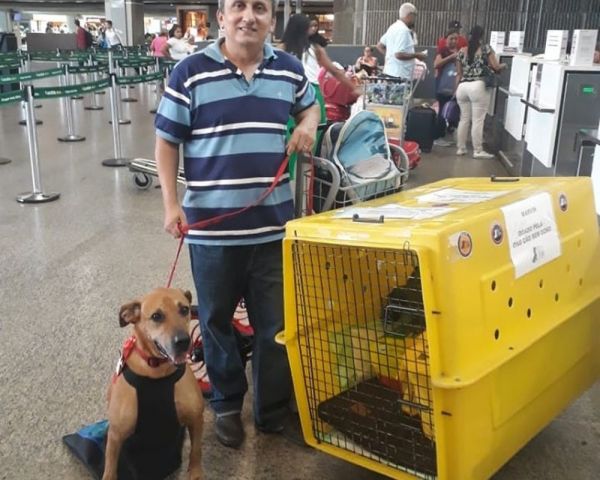 Homem viaja do RN a SP para adotar cão que teve duas patas amputadas após atropelamento: