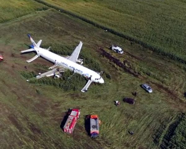 Avião com mais de 200 a bordo faz pouso de emergência em milharal após colidir com pássaros na Rússi