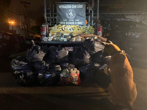 Polícia Militar apreende mais de uma tonelada de drogas na Zona Norte do Rio com a ajuda de cadela