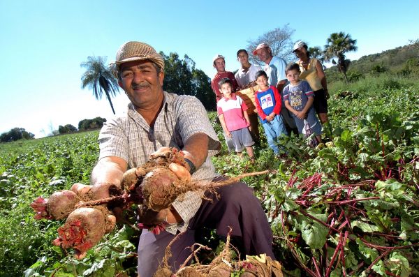 Governo da Bahia lança edital para beneficiar trabalhadores da agricultura familiar