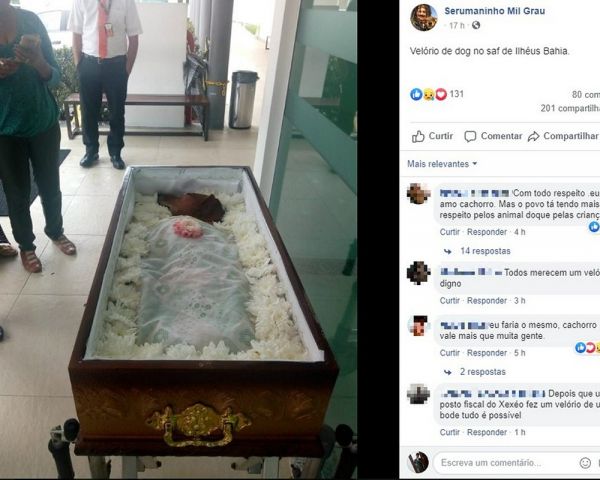Foto de cachorro em caixão no sul da Bahia repercute nas redes sociais