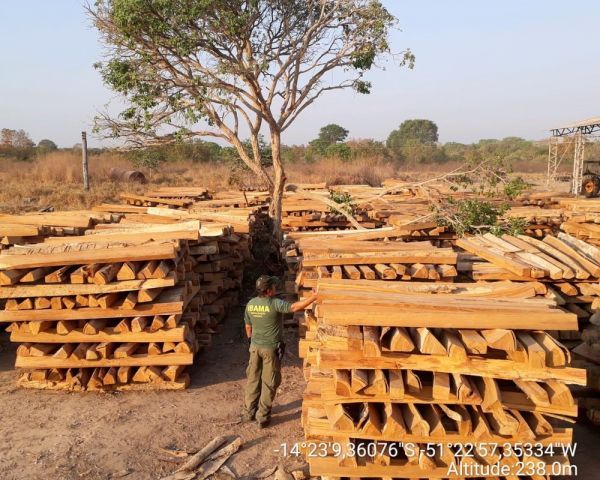 Ibama apreende madeira ilegal e aplica R$ 4,7 milhões em multas em 20 fazendas em MT