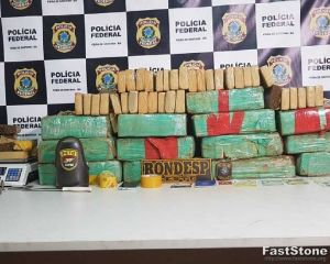 Mulher é presa após cão farejador da polícia encontrar 160 kg de maconha em casa na Bahia