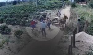 Homem &eacute; morto a pauladas e esposa aponta parentes como suspeitos em briga por heran&ccedil;a na Bahia