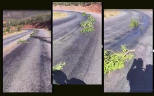 PERIGO NA PISTA: &Oacute;leo Derramado em Curva Cr&iacute;tica Provoca Acidentes e Amea&ccedil;a Motoristas na Divisa Ent