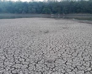 Governo da Bahia decreta estado de emergência em Ibiassucê, Rio do Antônio, Mortugaba, Caetité pela