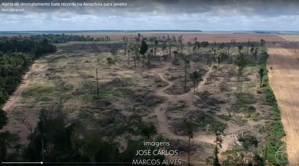Amazônia tem recorde de alerta de desmate para um mês de janeiro, aponta Inpe