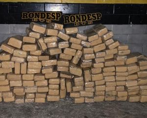 Mais de 100 kg de maconha são apreendidos em matagal na cidade de Simões Filho, na Bahia