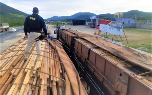 Ação policial apreende cerca de 100 toneladas de madeira de origem ilegal no sudoeste da Bahia