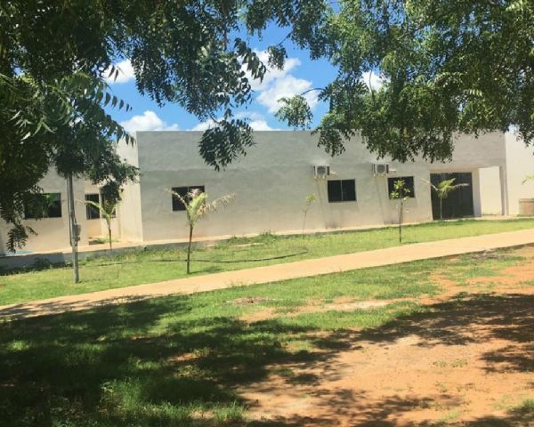 Onze crianças passam mal em escola municipal da BA; suspeita é de  teriam tido contato com veneno
