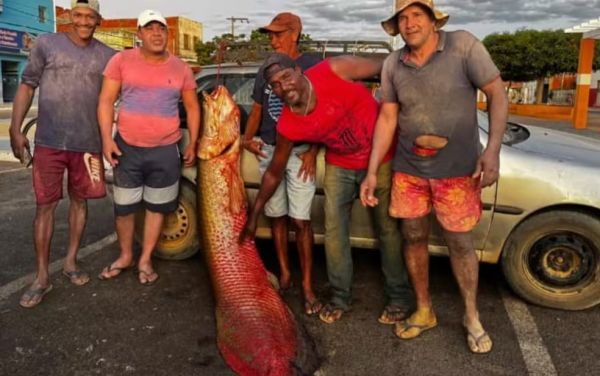 Malhada: Pescadores capturam pirarucu gigante de 92 kg e mais de dois metros.