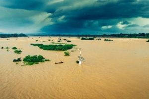 Cheia do Rio São Francisco coloca moradores do Norte de Minas e Bahia em alerta