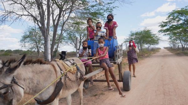 Agricultora percorre 10 km por dia com os netos para conseguir água no interior de Alagoas: