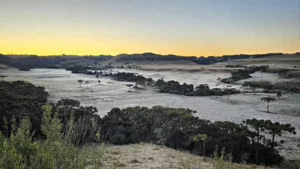 Abaixo de -6ºC: SC amanhece com temperatura negativa e geada