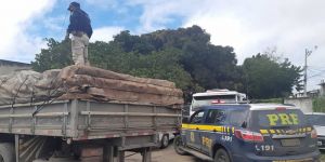 Mais de 5 toneladas de maconha são apreendidas em caminhão; droga estava escondida em meio a carga d