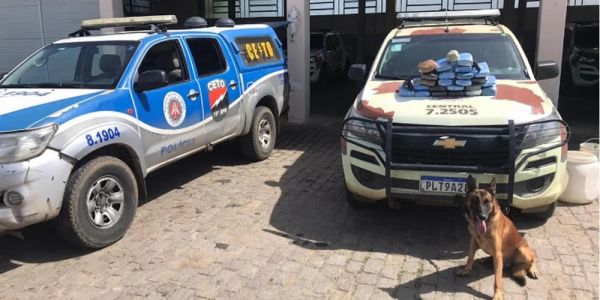 Bahia: Cão policial encontra 23,5 quilos de maconha durante operação