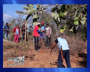 Licínio de Almeida.: Projeto Realizado Prefeitura Municipal de Licínio de Almeida em Parceria Com a