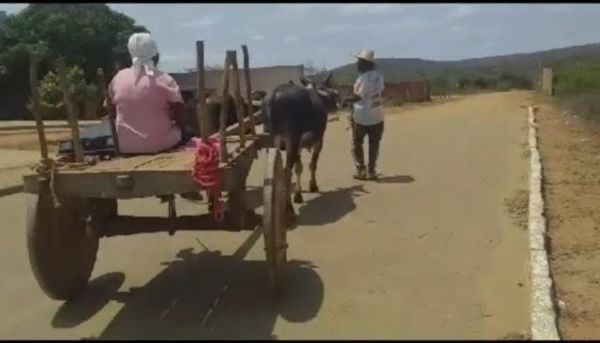 Caculé: moradora do distrito de Várzea Grande vai até o PSF de carro de boi para fazer curativo