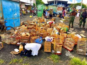 Quase 400 aves silvestres são apreendidas na cidade de Feira de Santana