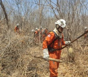 Cerca de 200 bombeiros atuam com drones e aviões no combate de incêndios florestais em 16 cidades da